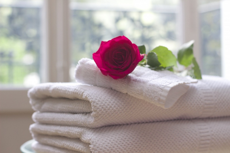 hotel-SIGNES-min_towel_rose_clean_care_salon_spa_white_bath-731641